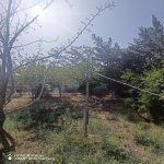 Satılır 3 otaqlı Həyət evi/villa, Binə qəs., Xəzər rayonu 3