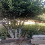 Satılır 2 otaqlı Həyət evi/villa, Avtovağzal metrosu, Biləcəri qəs., Binəqədi rayonu 1