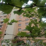 Продажа 2 комнат Вторичка, пос. Йени Гюняшли, Сураханы район 2