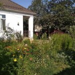 Kirayə (günlük) 3 otaqlı Bağ evi Qusar 8