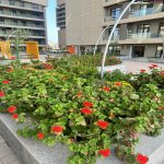 Аренда 2 комнатная Новостройка, Ясамал район 12