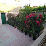 Satılır 4 otaqlı Həyət evi/villa, Saray, Abşeron rayonu 3