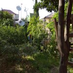 Satılır 5 otaqlı Həyət evi/villa, Neftçilər metrosu, Bakıxanov qəs., Sabunçu rayonu 35
