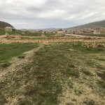 Satılır Torpaq, Qobu, Abşeron rayonu 8