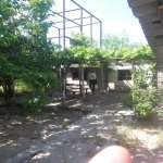 Satılır 3 otaqlı Bağ evi, Goradil, Abşeron rayonu 2