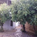 Satılır 6 otaqlı Həyət evi/villa, Zığ qəs., Suraxanı rayonu 26