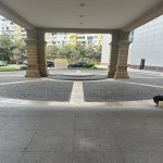 Kirayə (aylıq) 4 otaqlı Yeni Tikili, Nəriman Nərimanov metrosu, Nərimanov rayonu 16