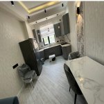 Kirayə (aylıq) 2 otaqlı Yeni Tikili, Qara Qarayev metrosu, 8-ci kilometr, Nizami rayonu 12