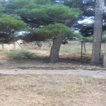 Satılır Torpaq, Lökbatan qəs., Qaradağ rayonu 2