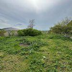 Satılır Torpaq İsmayıllı 7