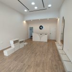 Kirayə (aylıq) Obyekt, Gənclik metrosu, Nəsimi rayonu 2