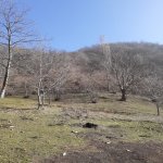 Satılır Torpaq Qəbələ 8