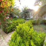 Kirayə (aylıq) 6 otaqlı Bağ evi, Şüvəlan, Xəzər rayonu 25