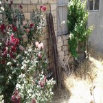 Satılır 2 otaqlı Həyət evi/villa, 20 Yanvar metrosu, Biləcəri qəs., Binəqədi rayonu 1