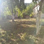 Kirayə (günlük) 2 otaqlı Bağ evi Qusar 12