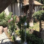 Kirayə (aylıq) 8 otaqlı Həyət evi/villa, Mərdəkan, Xəzər rayonu 11