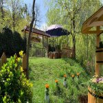 Kirayə (günlük) 3 otaqlı Həyət evi/villa Quba 26