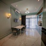 Kirayə (aylıq) 2 otaqlı Yeni Tikili, Səbail rayonu 12