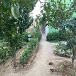 Satılır 5 otaqlı Həyət evi/villa, Buzovna, Xəzər rayonu 25