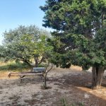 Satılır Torpaq, Novxanı, Abşeron rayonu 12