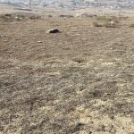 Satılır Torpaq, Hökməli, Abşeron rayonu 12