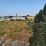 Satılır Torpaq, Novxanı, Abşeron rayonu 9
