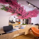 Kirayə (aylıq) Obyekt, Nəriman Nərimanov metrosu, Nərimanov rayonu 6