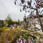 Продажа Объект, Туркян, Хязяр район 17