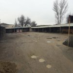 Kirayə (aylıq) Obyekt, Xətai rayonu 5