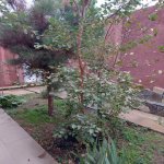 Satılır 3 otaqlı Həyət evi/villa, Şüvəlan, Xəzər rayonu 19
