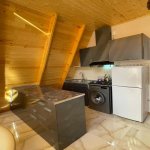 Kirayə (günlük) 3 otaqlı Həyət evi/villa Qəbələ 13