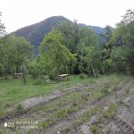 Kirayə (aylıq) İstirahət Mərkəzləri Qax 11