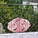 Kirayə (günlük) 2 otaqlı Bağ evi İsmayıllı 9
