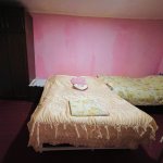 Kirayə (günlük) 1 otaqlı Bağ evi, Goradil, Abşeron rayonu 18