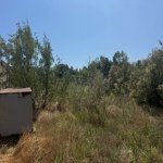 Satılır Torpaq, Mərdəkan, Xəzər rayonu 2