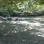 Kirayə (günlük) 4 otaqlı Bağ evi Xaçmaz / Nabran 8