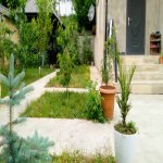 Kirayə (günlük) 4 otaqlı Həyət evi/villa Qusar 35