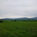 Продажа Участок Исмаиллы 10