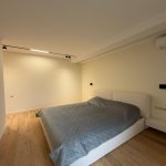 Аренда 2 комнатная Новостройка, м. 28 Мая метро, Зимний парк, Насими район 8