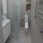 Kirayə (aylıq) 3 otaqlı Yeni Tikili, Nəsimi rayonu 7