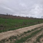 Satılır Torpaq Xaçmaz 7