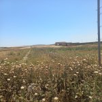 Satılır Torpaq, Novxanı, Novxanı Dalga T/M, Abşeron rayonu 7