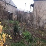 Satılır Torpaq, Saray, Abşeron rayonu 3