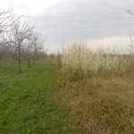 Satılır Torpaq Quba 13