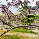 Продажа Объект, Туркян, Хязяр район 20