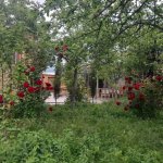 Kirayə (günlük) 3 otaqlı Həyət evi/villa İsmayıllı 4