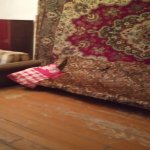 Kirayə (aylıq) 1 otaqlı Köhnə Tikili, 28 May metrosu, Kubinka, Nəsimi rayonu 3