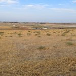 Продажа Участок, Сарай, Абшерон район 5