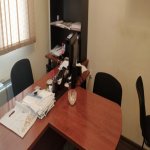 Kirayə (aylıq) 2 otaqlı Ofis, Nəriman Nərimanov metrosu, Nərimanov rayonu 7