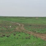 Satılır Torpaq, Fatmayi, Abşeron rayonu 1